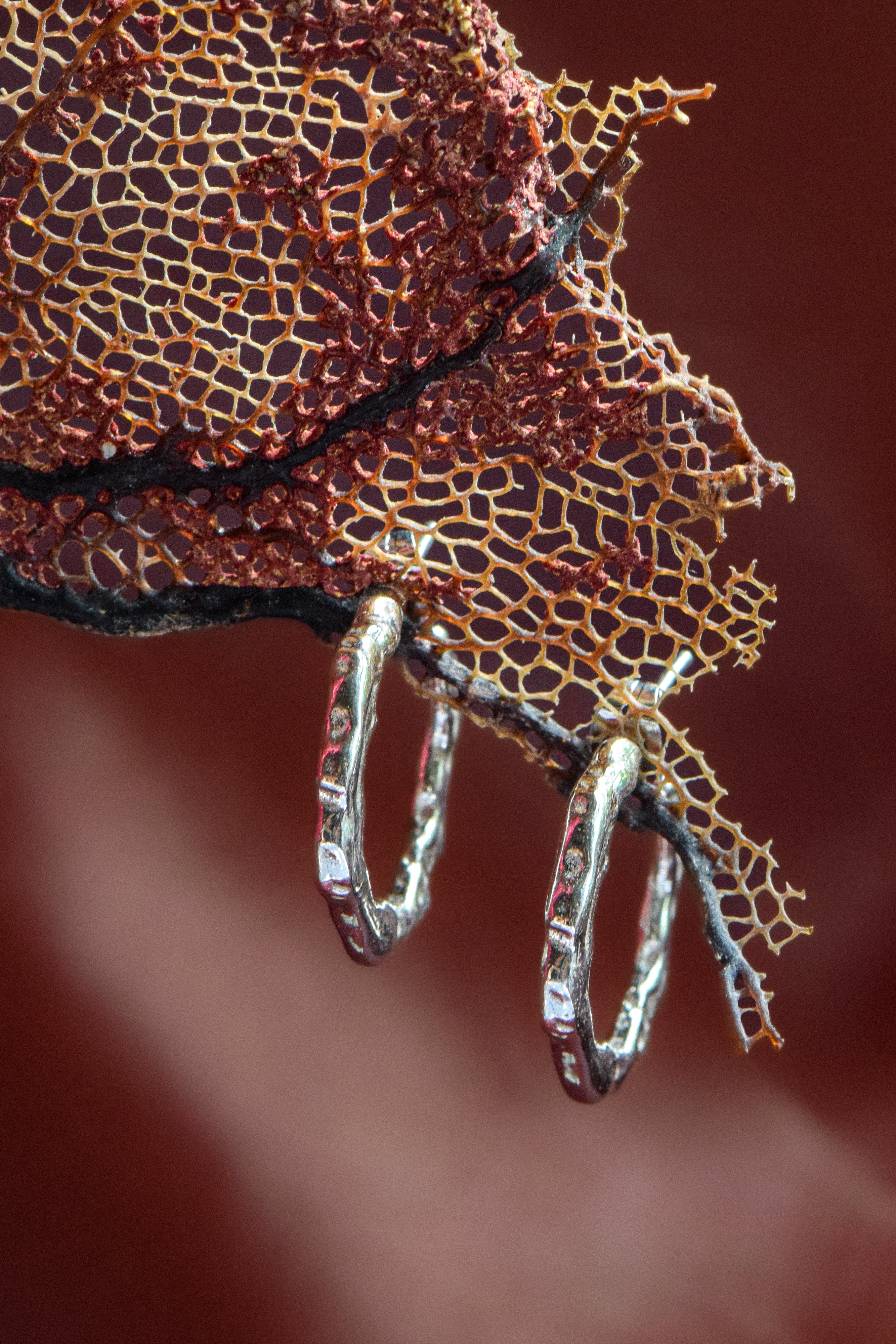 Boucles d'oreilles Pepin